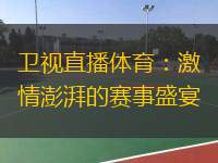  衛(wèi)視直播體育：激情澎湃的賽事盛宴