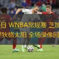  08月14日 WNBA常規(guī)賽 芝加哥天空vs康涅狄格太陽(yáng) 全場(chǎng)錄像回放