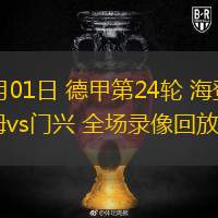  03月01日 德甲第24輪 海登海姆vs門興 全場(chǎng)錄像回放