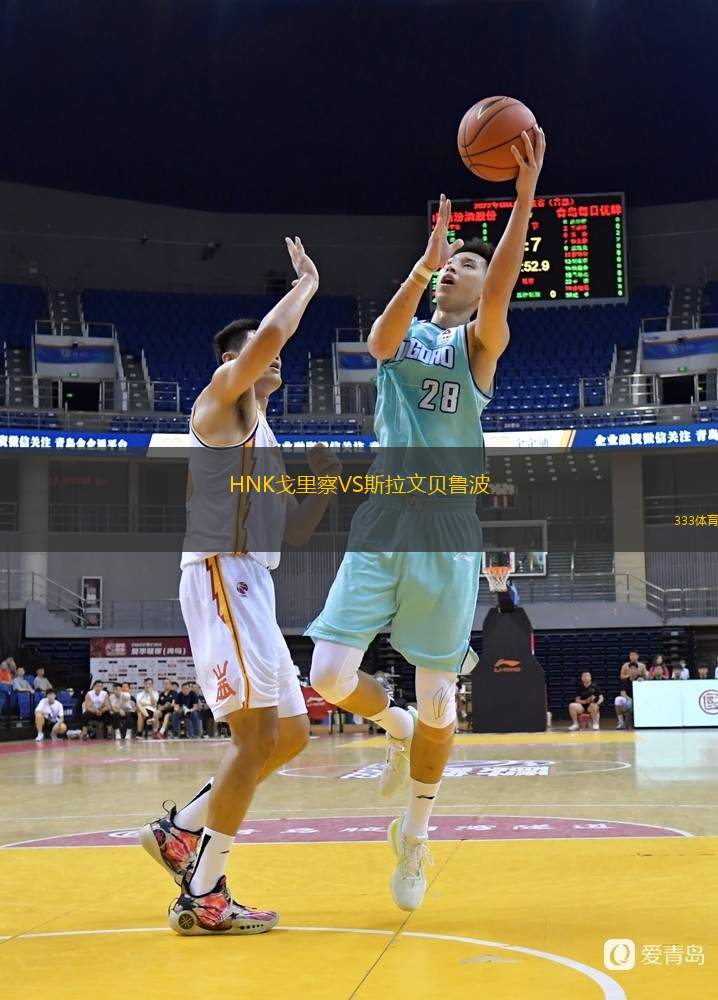  HNK戈里察VS斯拉文貝魯波