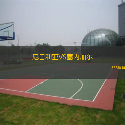  尼日利亞VS塞內(nèi)加爾