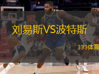  劉易斯VS波特斯