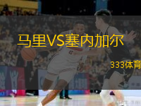  馬里VS塞內(nèi)加爾