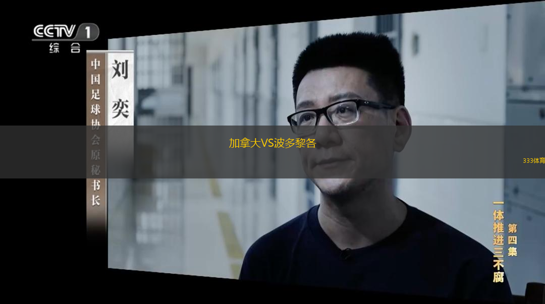 加拿大VS波多黎各
