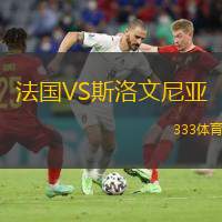  法國(guó)VS斯洛文尼亞