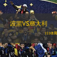  波黑VS意大利