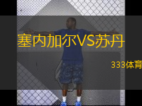  塞內(nèi)加爾VS蘇丹