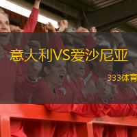  意大利VS愛(ài)沙尼亞