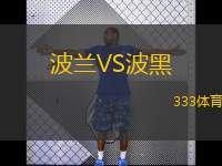  波蘭VS波黑