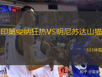  印第安納狂熱VS明尼蘇達(dá)山貓