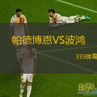  帕德博恩VS波鴻