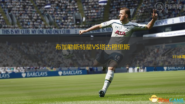  布加勒斯特星VS塔古穆里斯