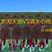  新潟天鵝VS清水心跳