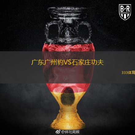  廣東廣州豹VS石家莊功夫