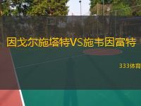 因戈?duì)柺┧豓S施韋因富特 因戈?duì)柺┧豓S施韋因富特