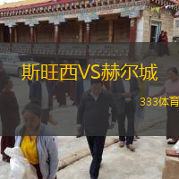  斯旺西VS赫爾城