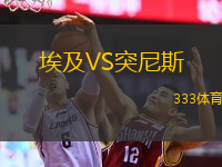  埃及VS突尼斯