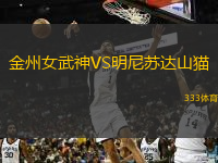  金州女武神VS明尼蘇達(dá)山貓
