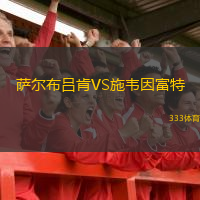  薩爾布呂肯VS施韋因富特