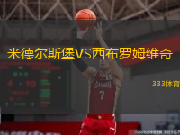  米德爾斯堡VS西布羅姆維奇
