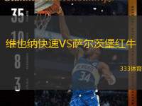  維也納快速VS薩爾茨堡紅牛