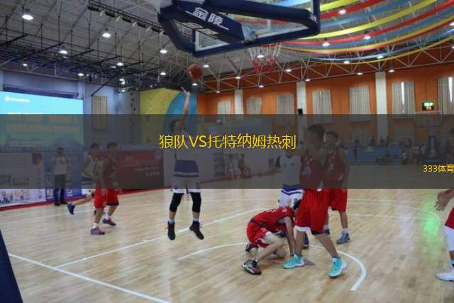  狼隊(duì)VS托特納姆熱刺