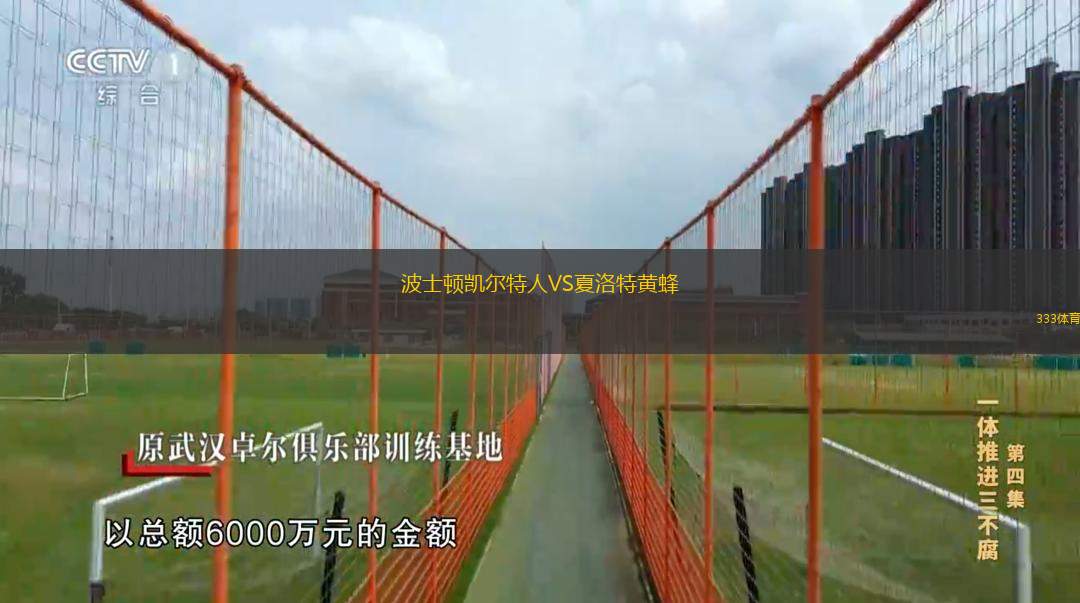  波士頓凱爾特人VS夏洛特黃蜂