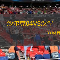  沙爾克04VS漢堡
