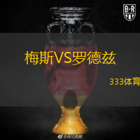  梅斯VS羅德茲