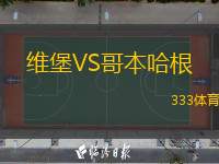  維堡VS哥本哈根