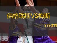  佛格瑞斯VS梅斯