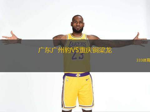  廣東廣州豹VS重慶銅梁龍