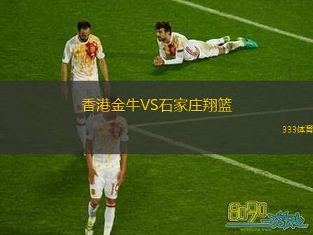  香港金牛VS石家莊翔籃