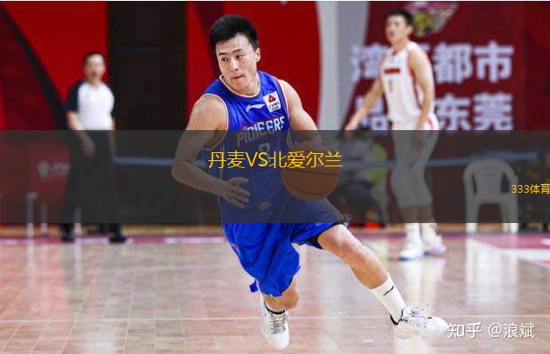  丹麥VS北愛爾蘭