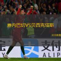  費(fèi)內(nèi)巴切VS貝西克塔斯