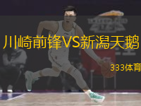  川崎前鋒VS新潟天鵝