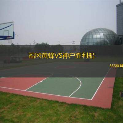  福岡黃蜂VS神戶勝利船