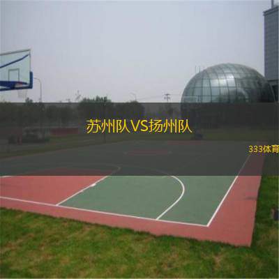  蘇州隊(duì)VS揚(yáng)州隊(duì)