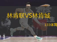  林肯聯(lián)VS林肯城