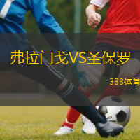  弗拉門戈VS圣保羅