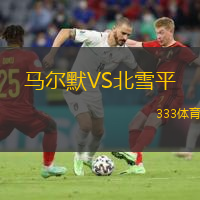  馬爾默VS北雪平