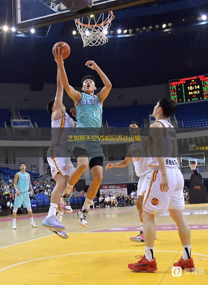  芝加哥天空VS明尼蘇達(dá)山貓