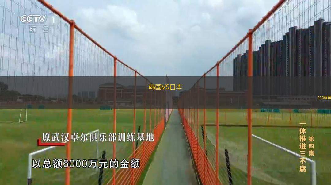  韓國(guó)VS日本