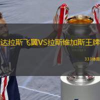  達(dá)拉斯飛翼VS拉斯維加斯王牌