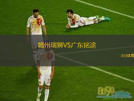  贛州瑞獅VS廣東銘途