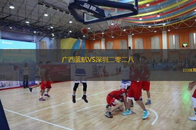  廣西藍(lán)航VS深圳二零二八