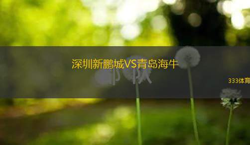  深圳新鵬城VS青島海牛