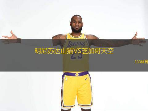  明尼蘇達(dá)山貓VS芝加哥天空