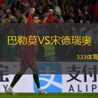  巴勒莫VS宋德瑞奧