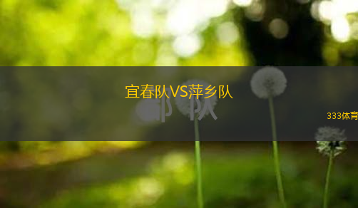  宜春隊(duì)VS萍鄉(xiāng)隊(duì)